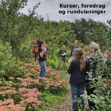 Kurser, praktik, rundvisninger og foredrag