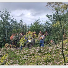 Rundvisning for grupper