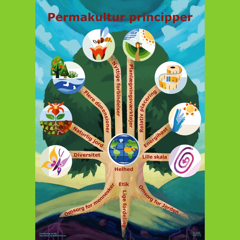Plakat: Permakultur-principper med ikoner