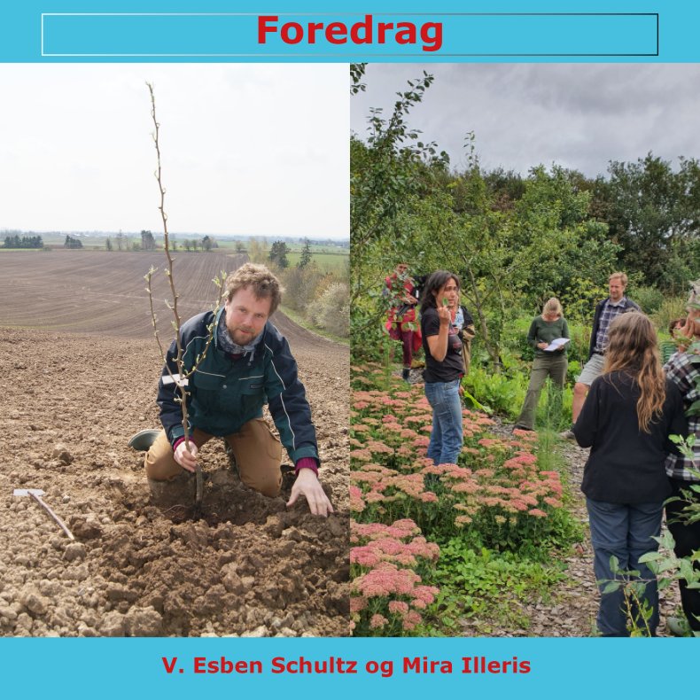 Skrddersyet foredrag 