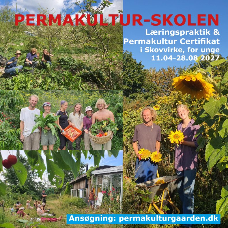 Permakulturskolen - l�ringspraktik og PDC 2027