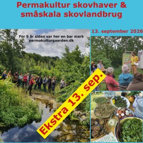 Dagskursus permakultur skovlandbrug og skovhaver 13.sep 2026