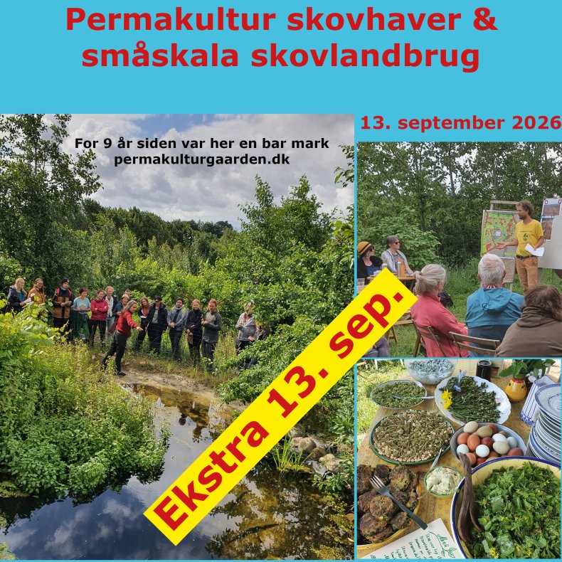 Dagskursus permakultur skovlandbrug og skovhaver 13.sep 2026