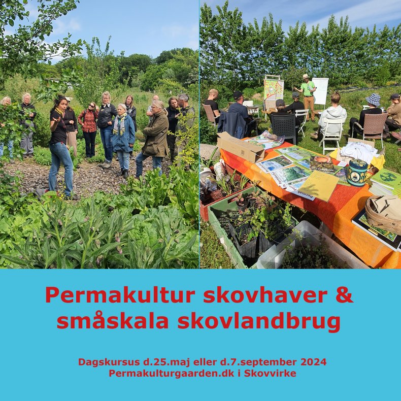 Dagskursus for permakultur-skovlandbrug og -skovhaver 7.9.2024