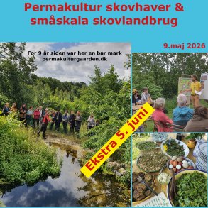 Dagskursus permakultur skovlandbrug og skovhaver 5.juni 2026