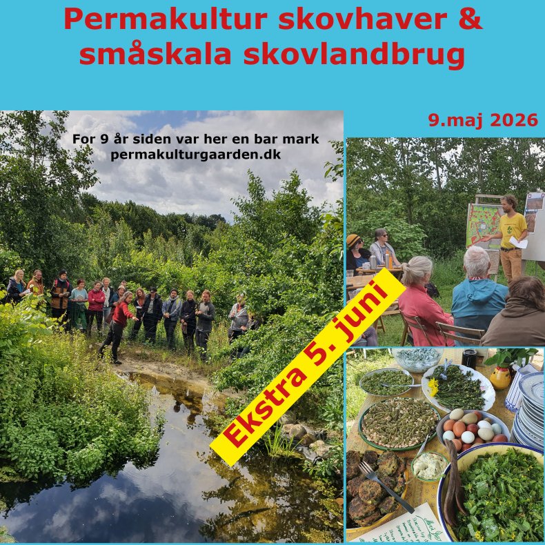 Dagskursus permakultur skovlandbrug og skovhaver 5.juni 2026