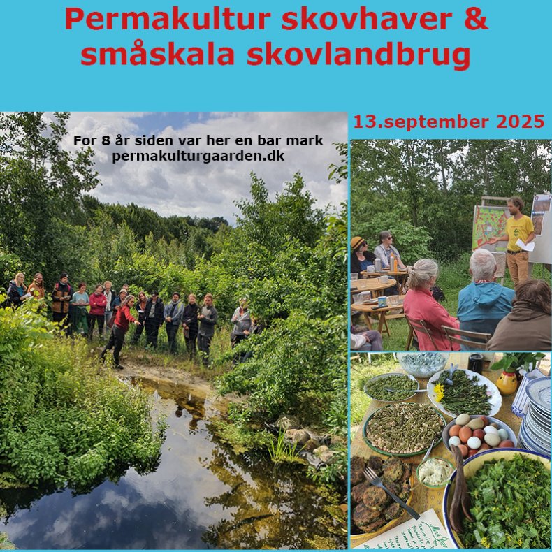  Dagskursus permakultur skovlandbrug og skovhaver 13.sep 2025